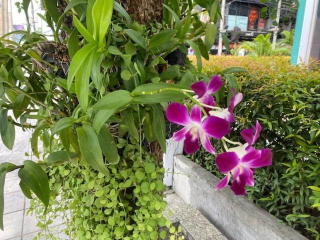Apartament Vivi Avenue Thonglor Bangkok Zewnętrze zdjęcie